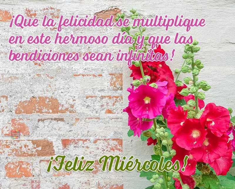 ¡Que la felicidad se multiplique en este hermoso día y que las bendiciones sean infinitas! ¡Feliz miércoles!
