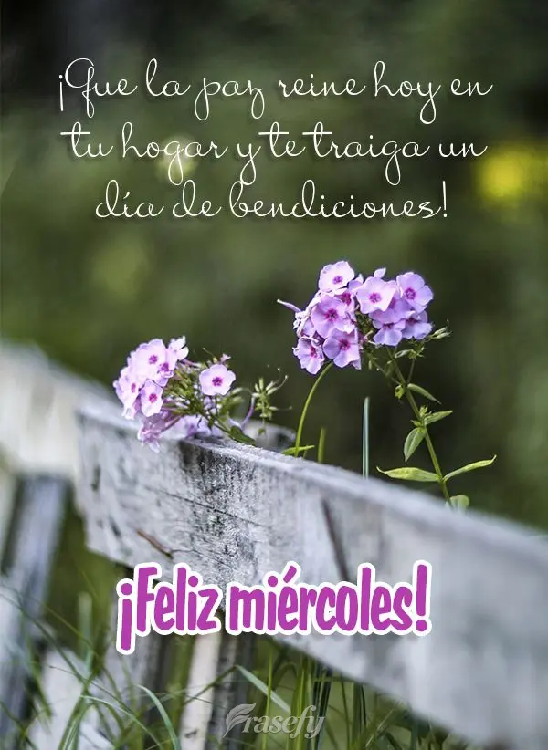¡Que la paz reine hoy en tu hogar y te traiga un día de bendiciones! ¡Feliz miércoles!