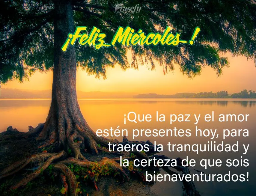 ¡Que la paz y el amor estén presentes hoy, para traeros la tranquilidad y la certeza de que sois bienaventurados! ¡Feliz miércoles!