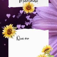 ¡Que no haya límites a la hora de compartir el amor! ¡Miércoles!