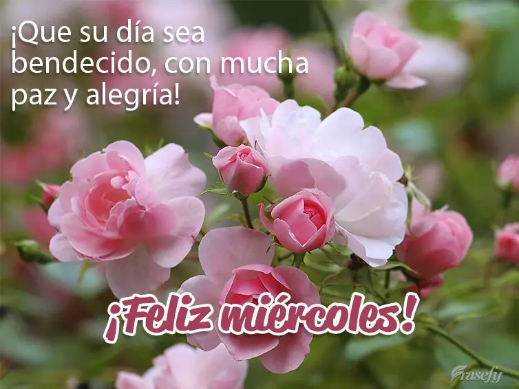¡Que su día sea bendecido, con mucha paz y alegría! ¡Feliz miércoles!