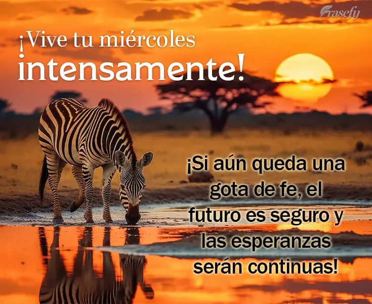 ¡Si aún queda una gota de fe, el futuro es seguro y las esperanzas serán continuas! ¡Vive tu miércoles intensamente! 