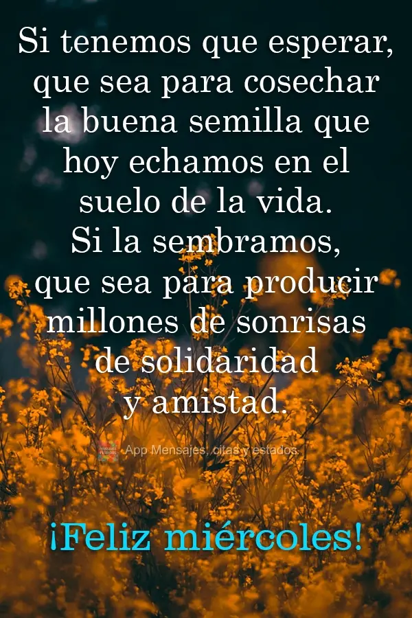 Si tenemos que esperar, que sea para cosechar la buena semilla que hoy echamos en el suelo de la vida. Si la sembramos, que sea para producir millones de...