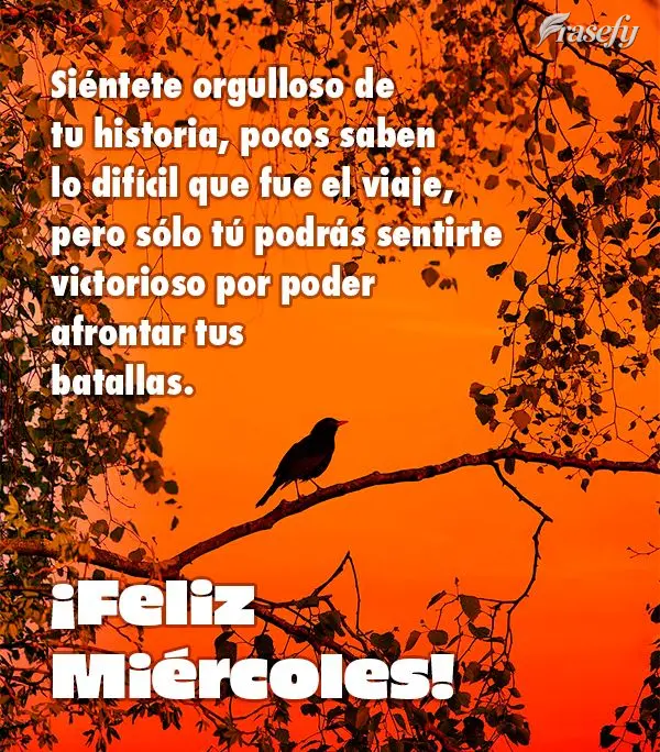 Siéntete orgulloso de tu historia, pocos saben lo difícil que fue el viaje, pero sólo tú podrás sentirte victorioso por poder afrontar tus batallas....