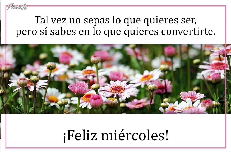 Tal vez no sepas lo que quieres ser, pero sí sabes en lo que quieres convertirte. ¡Feliz miércoles!