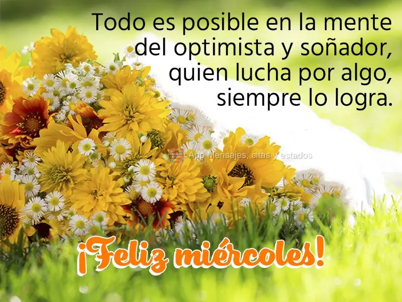 Todo es posible en la mente del optimista y soñador, quien lucha por algo, siempre lo logra. ¡Feliz miércoles!
