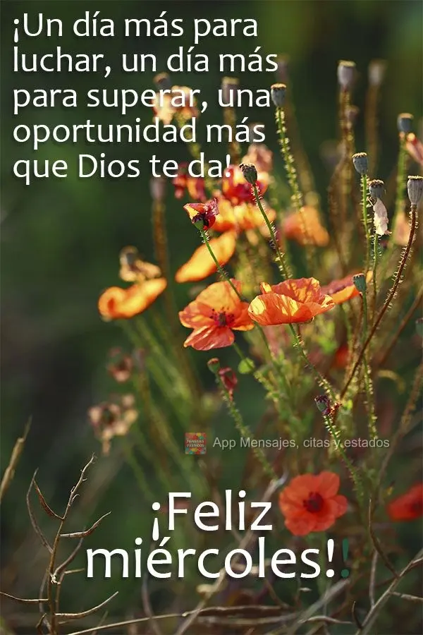 ¡Un día más para luchar, un día más para superar, una oportunidad más que Dios te da! ¡Feliz miércoles!
