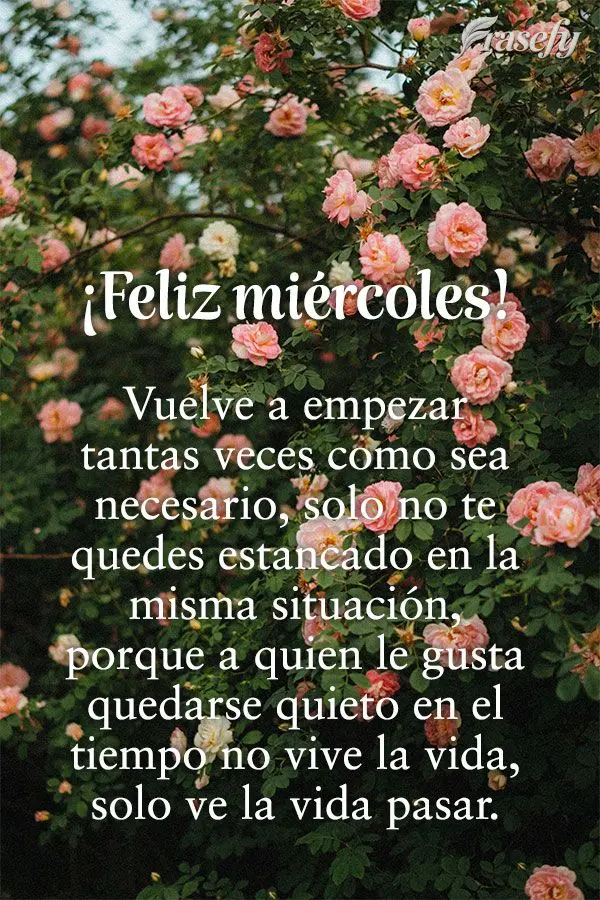 Vuelve a empezar tantas veces como sea necesario, solo no te quedes estancado en la misma situación, porque a quien le gusta quedarse quieto en el tiemp...