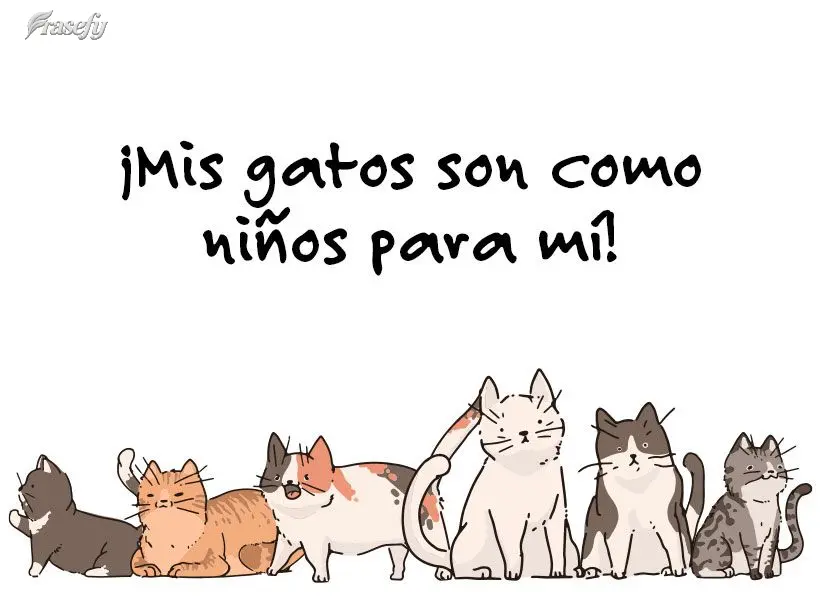¡Mis gatos son como niños para mí!