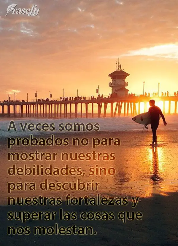 A veces somos probados no para mostrar nuestras debilidades, sino para descubrir nuestras fortalezas y superar las cosas que nos molestan.