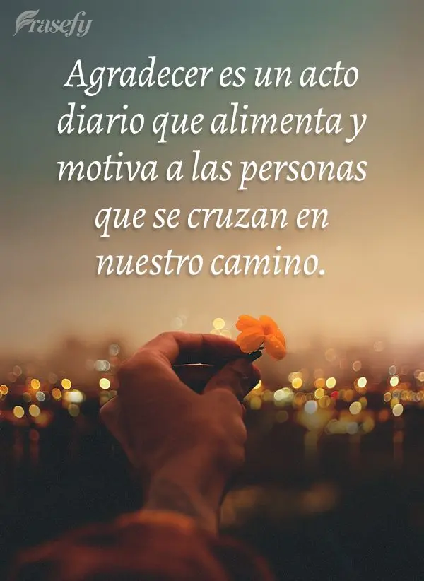 Agradecer es un acto diario que alimenta y motiva a las personas que se cruzan en nuestro camino.