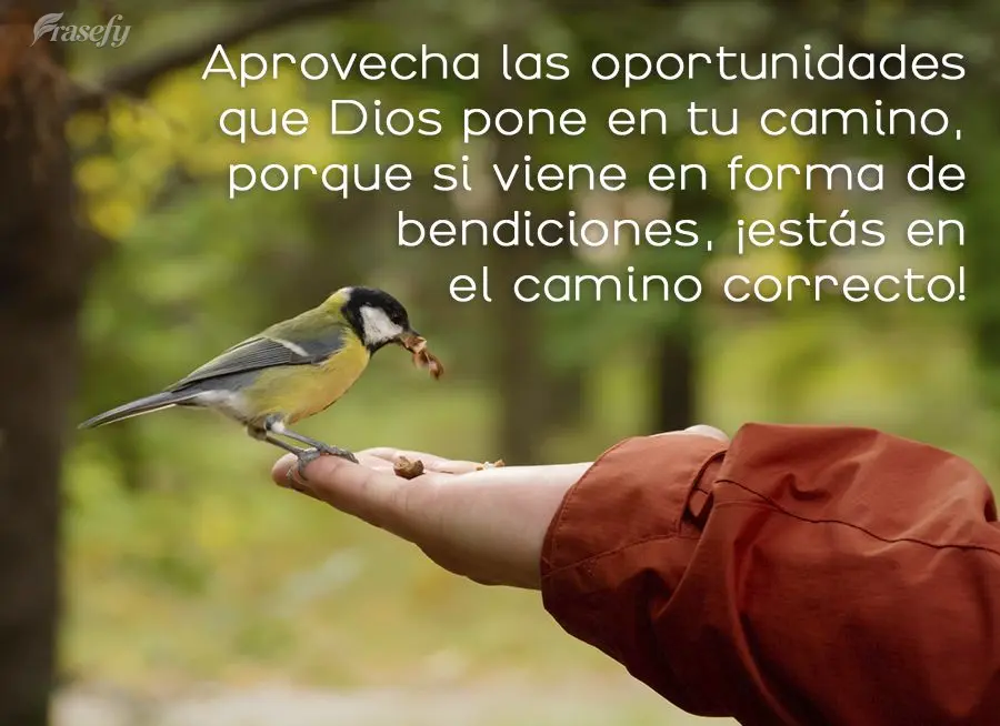 Aprovecha las oportunidades que Dios pone en tu camino, porque si viene en forma de bendiciones, ¡estás en el camino correcto!