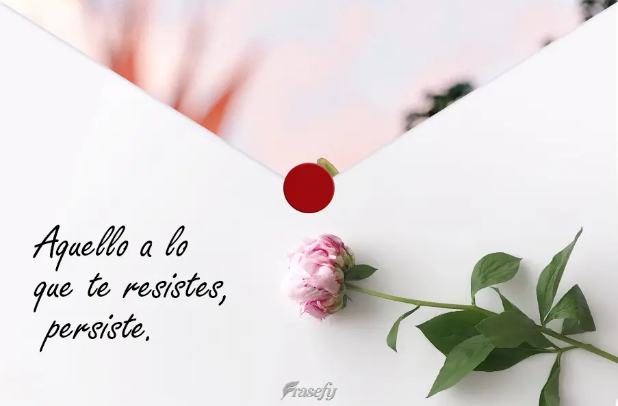 Aquello a lo que te resistes, persiste.