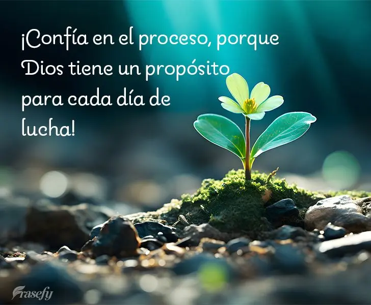 ¡Confía en el proceso, porque Dios tiene un propósito para cada día de lucha!