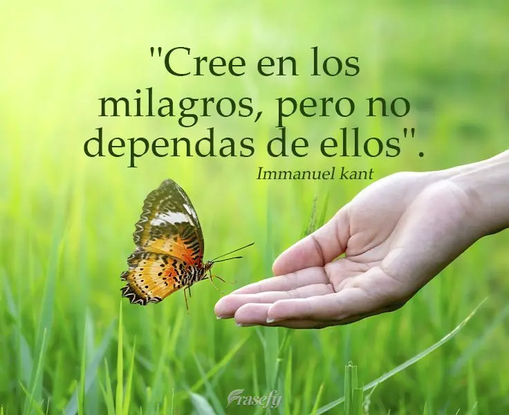 "Cree en los milagros, pero no dependas de ellos". Immanuel Kant