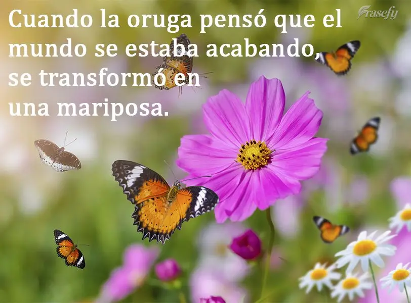 Cuando la oruga pensó que el mundo se estaba acabando, se transformó en una mariposa.