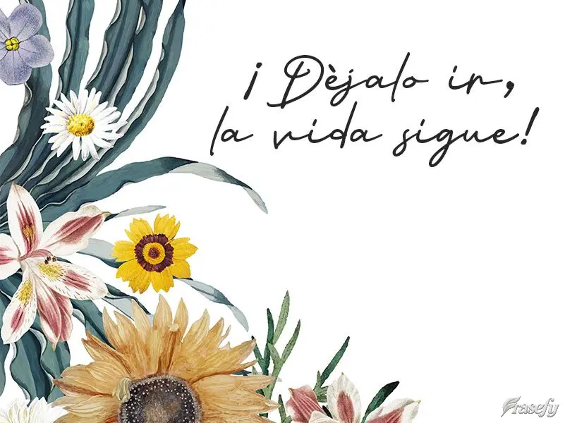 ¡Déjalo ir, la vida sigue!