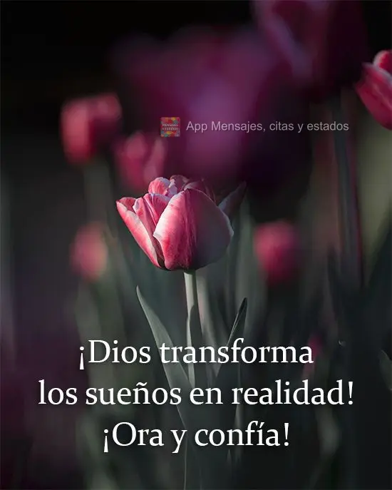 ¡Dios transforma los sueños en realidad! ¡Ora y confía!