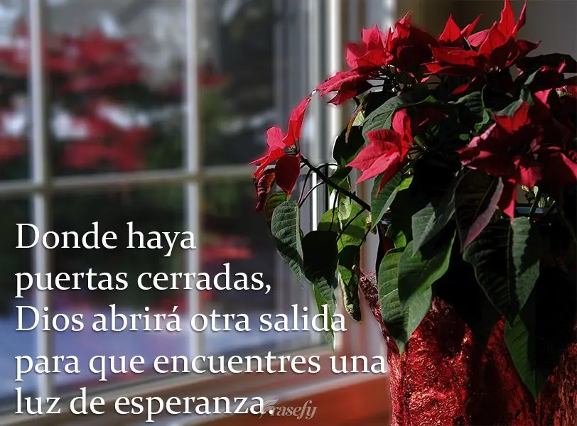 Donde haya puertas cerradas, Dios abrirá otra salida para que encuentres una luz de esperanza.