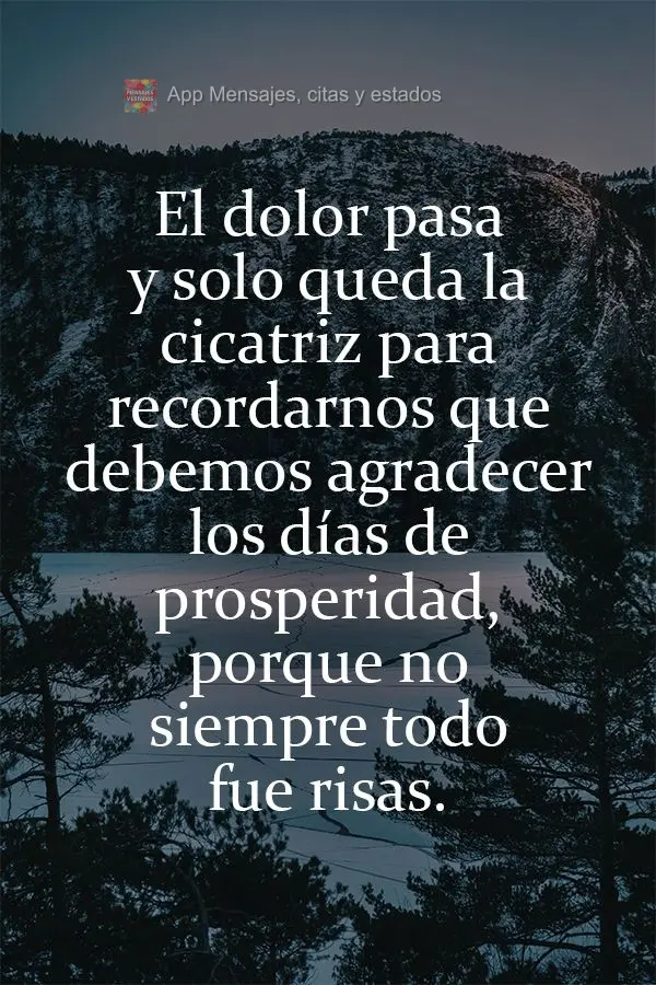 El dolor pasa y solo queda la cicatriz para recordarnos que debemos agradecer los días de prosperidad, porque no siempre todo fue risas.