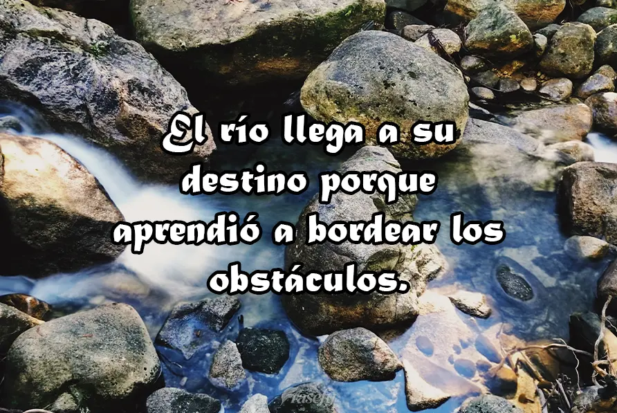 El río llega a su destino porque aprendió a bordear los obstáculos.