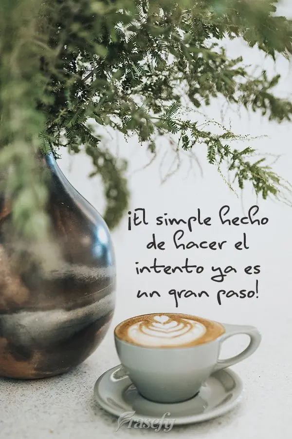 ¡El simple hecho de hacer el intento ya es un gran paso!