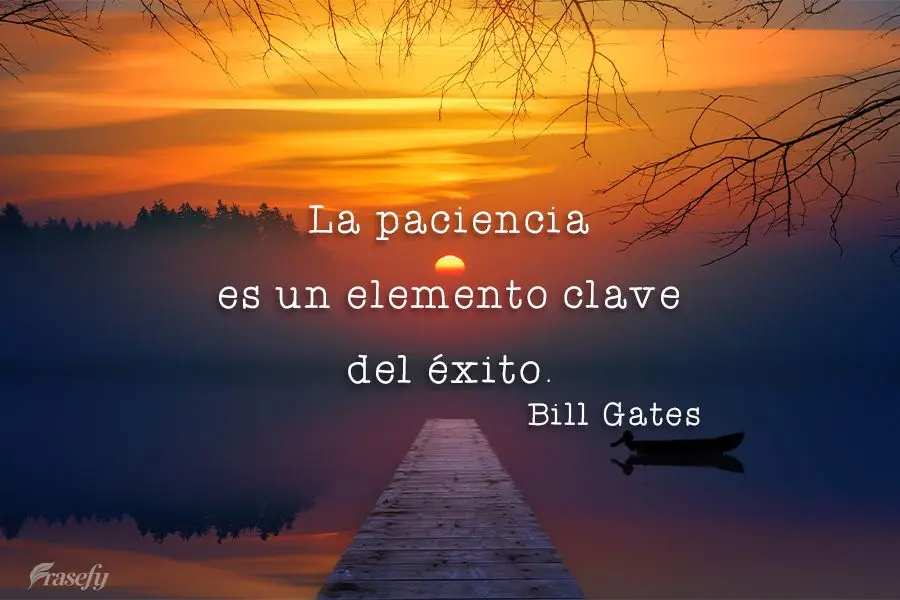 La paciencia es un elemento clave del éxito. Bill Gates