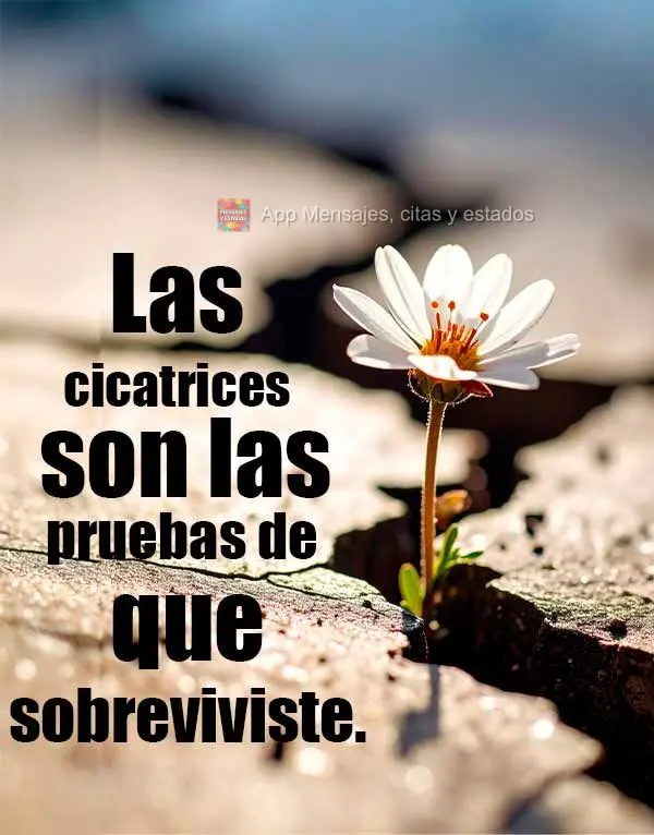 Las cicatrices son las pruebas de que sobreviviste.