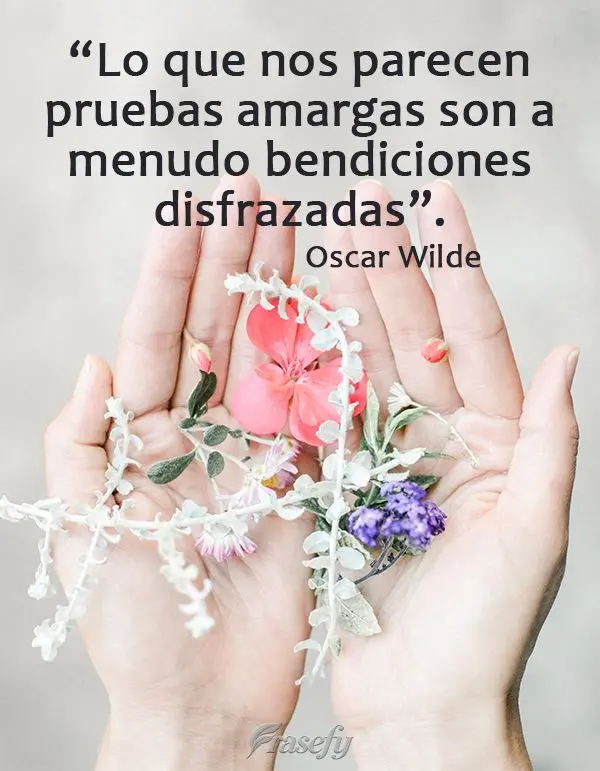 Lo que nos parecen pruebas amargas son a menudo bendiciones disfrazadas. Oscar Wilde