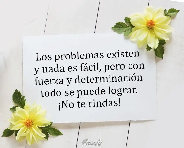 Los problemas existen y nada es fácil, pero con fuerza y determinación todo se puede lograr. ¡No te rindas!