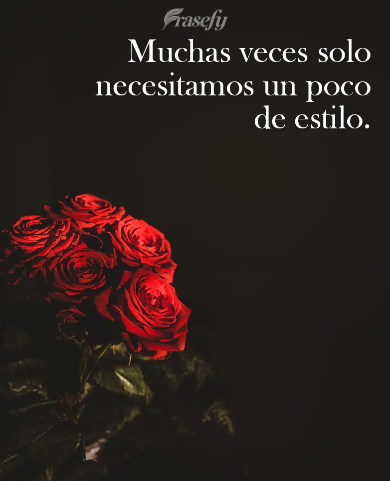 Muchas veces solo necesitamos un poco de estilo.