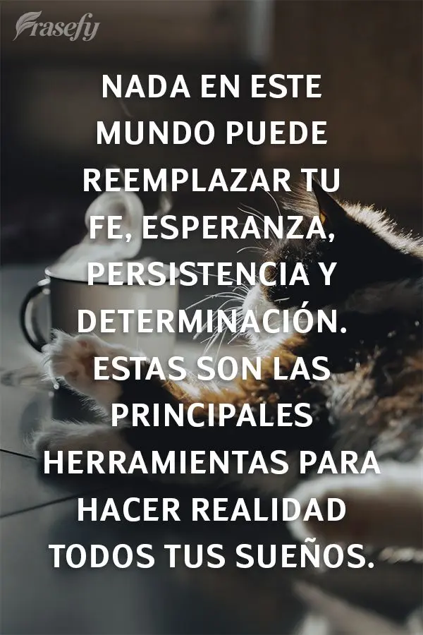 Nada en este mundo puede reemplazar tu fe, esperanza, persistencia y determinación. Estas son las principales herramientas para hacer realidad todos tus...