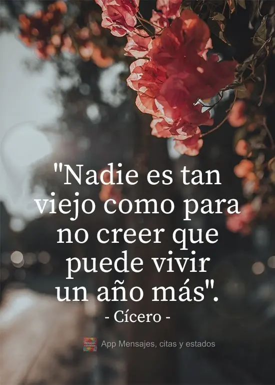 "Nadie es tan viejo como para no creer que puede vivir un año más". Cicerón