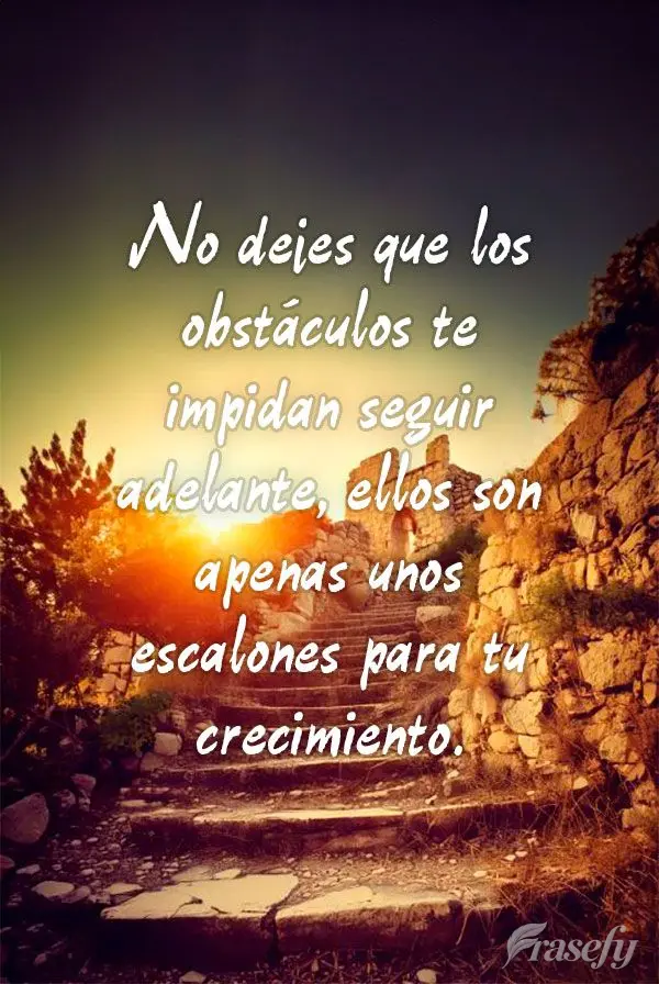 No dejes que los obstáculos te impidan seguir adelante, ellos son apenas unos escalones para tu crecimiento.