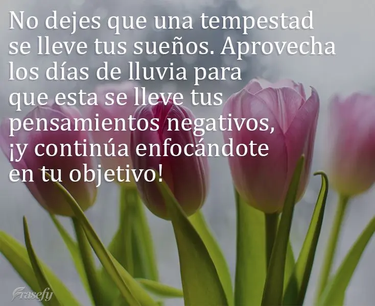 No dejes que una tempestad se lleve tus sueños. Aprovecha los días de lluvia para que esta se lleve tus pensamientos negativos, ¡y continúa enfocánd...