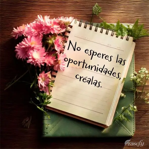 No esperes las oportunidades, créalas.