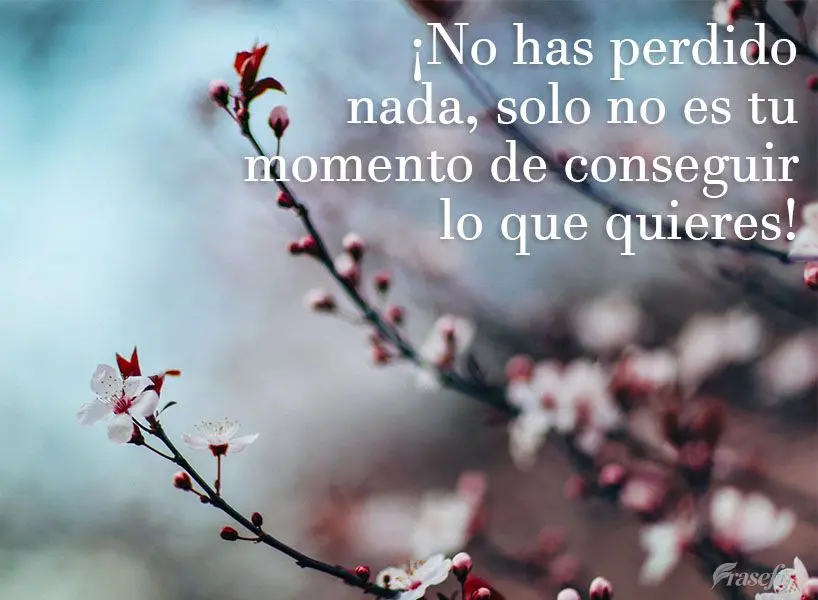 ¡No has perdido nada, solo no es tu momento de conseguir lo que quieres!