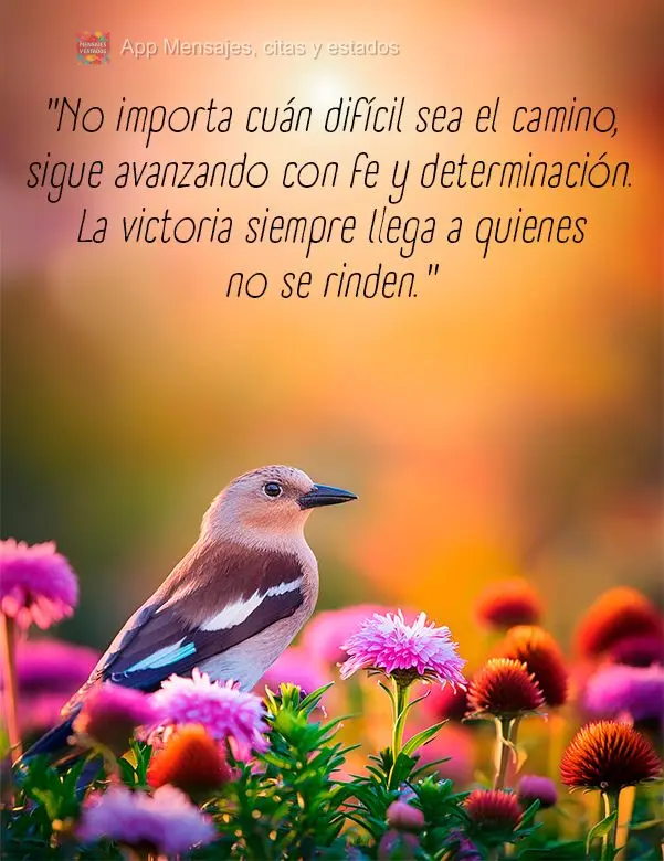 "No importa cuán difícil sea el camino, sigue avanzando con fe y determinación. La victoria siempre llega a quienes no se rinden."