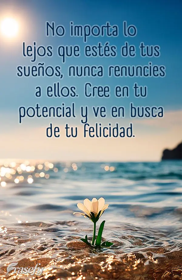 No importa lo lejos que estés de tus sueños, nunca renuncies a ellos. Cree en tu potencial y ve en busca de tu felicidad.