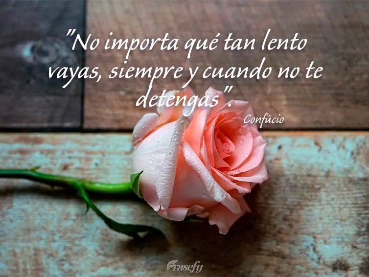 "No importa qué tan lento vayas, siempre y cuando no te detengas". Confucio