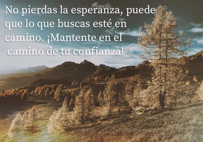 No pierdas la esperanza, puede que lo que buscas esté en camino. ¡Mantente en el camino de tu confianza!