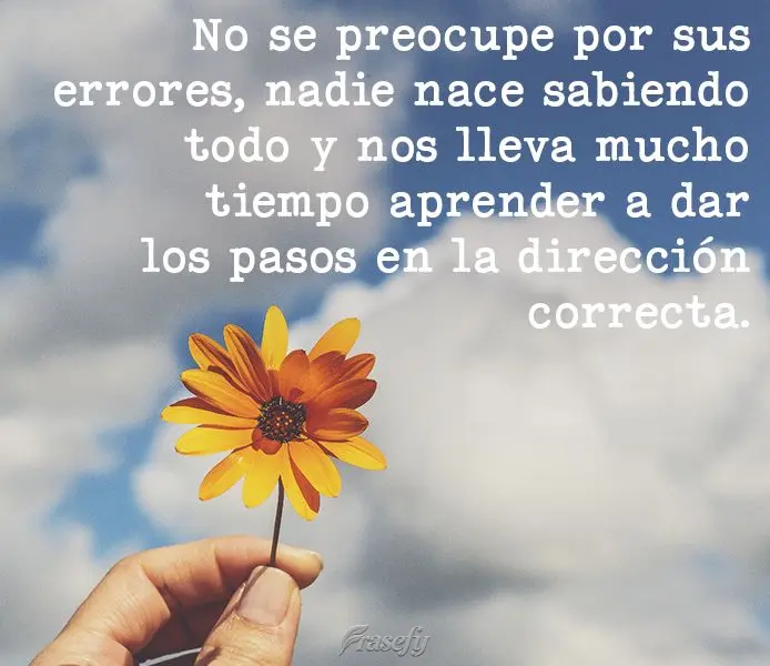 No se preocupe por sus errores, nadie nace sabiendo todo y nos lleva mucho tiempo aprender a dar los pasos en la dirección correcta.