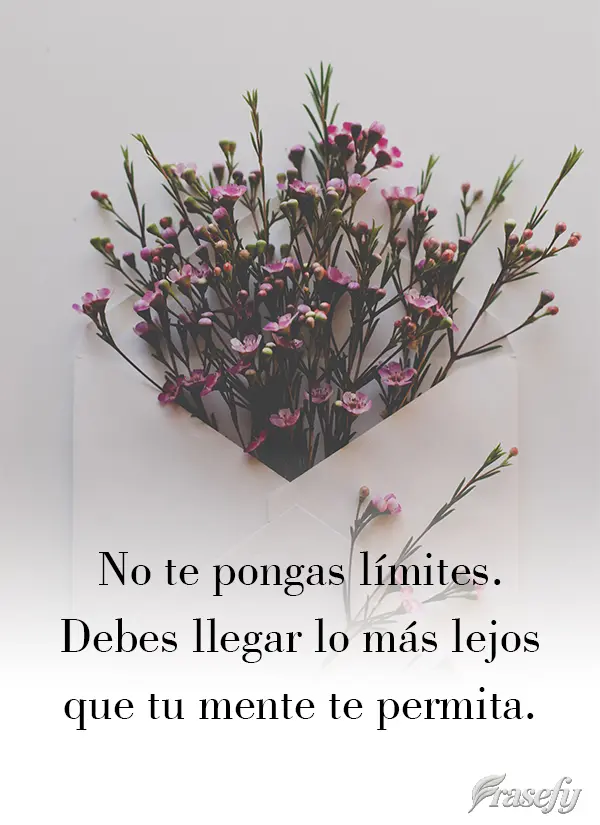 No te pongas límites. Debes llegar lo más lejos que tu mente te permita.