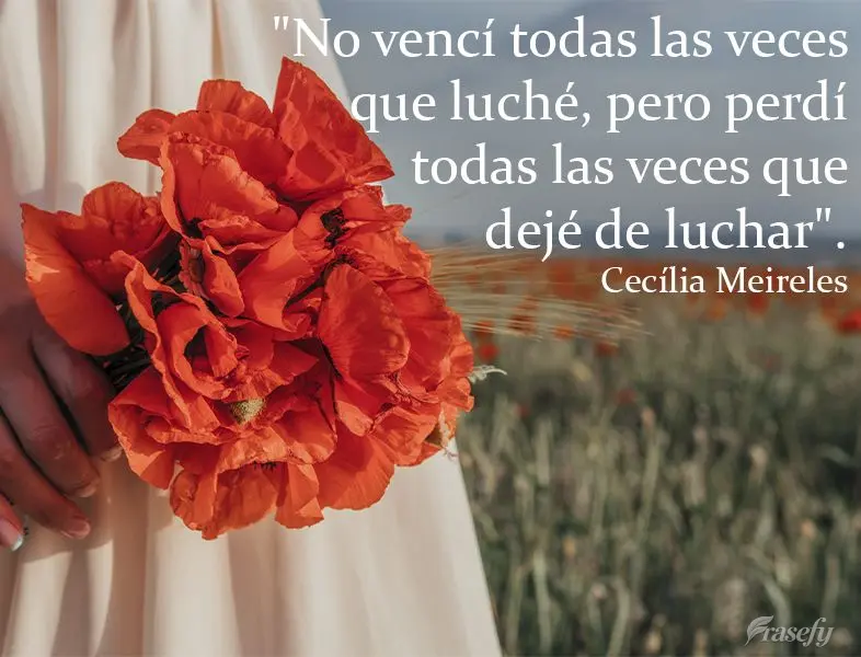 "No vencí todas las veces que luché, pero perdí todas las veces que dejé de luchar". Cecília Meireles
