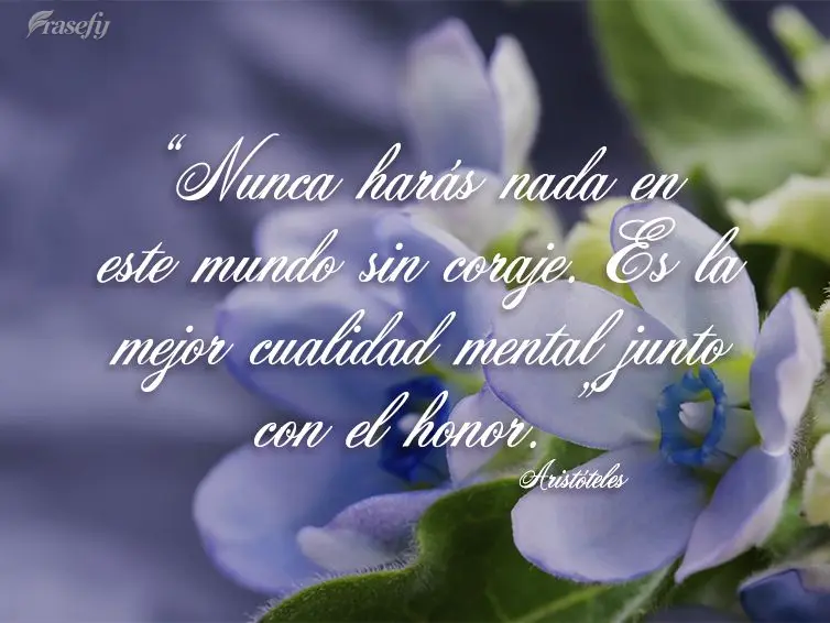 “Nunca harás nada en este mundo sin coraje. Es la mejor cualidad mental junto con el honor ". Aristóteles