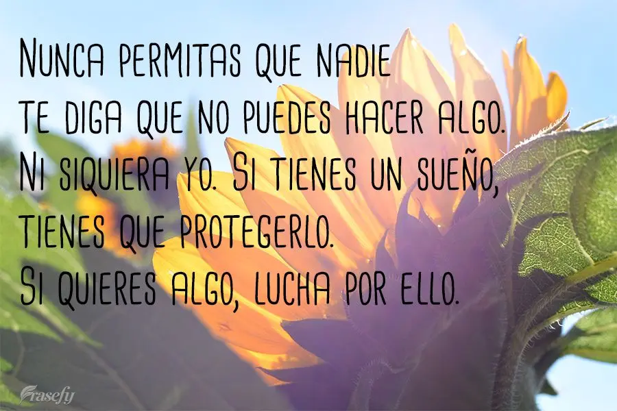 Nunca permitas que nadie te diga que no puedes hacer algo. Ni siquiera yo. Si tienes un sueño, tienes que protegerlo. Si quieres algo, lucha por ello....