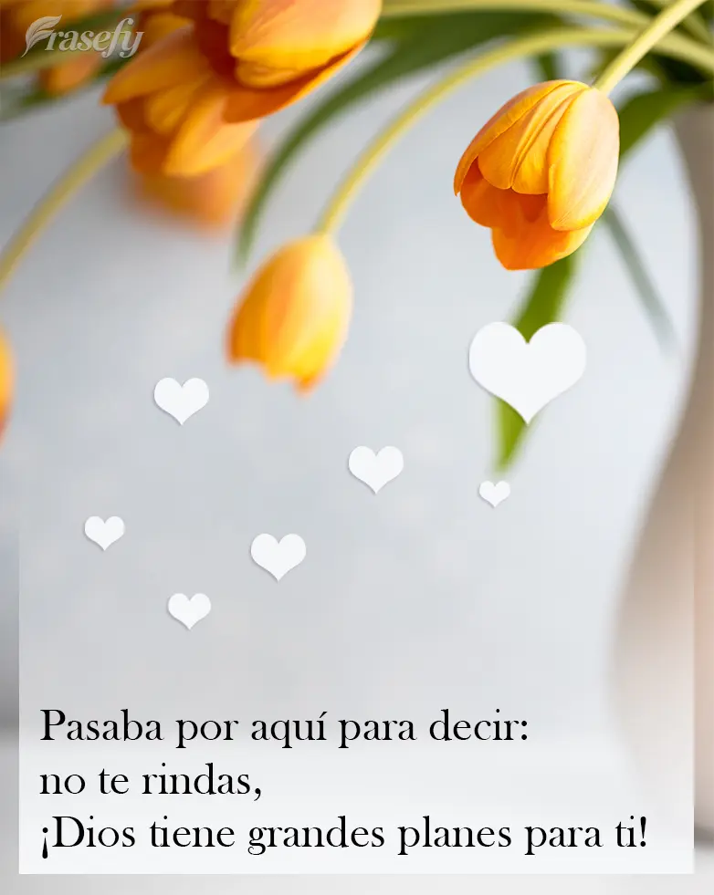 Pasaba por aquí para decir: no te rindas, ¡Dios tiene grandes planes para ti!