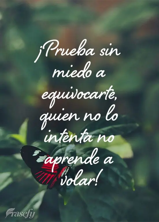 ¡Prueba sin miedo a equivocarte, quien no lo intenta no aprende a volar!
