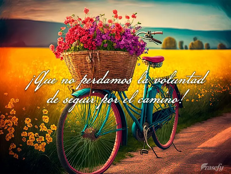 ¡Que no perdamos la voluntad de seguir por el camino!