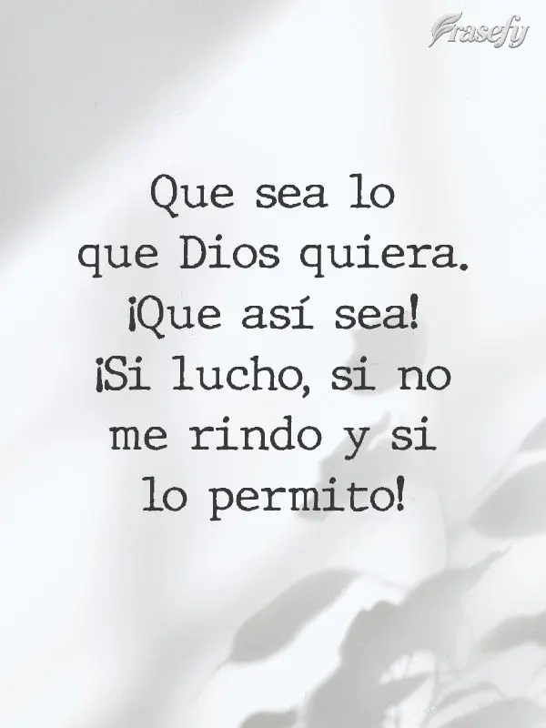 Que sea lo que Dios quiera. ¡Que así sea! ¡Si lucho, si no me rindo y si lo permito!
